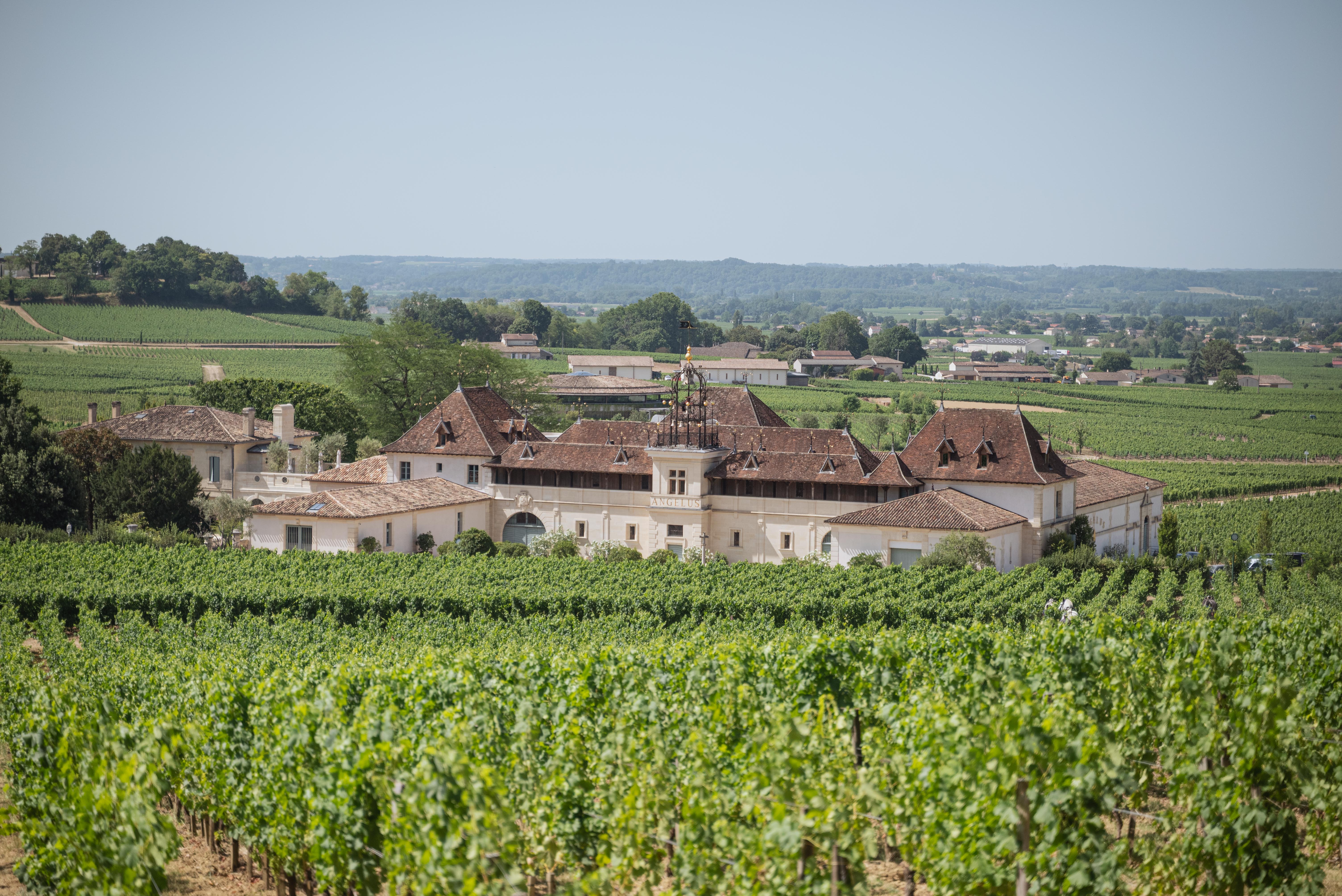 Signatures Aboard Ducasse sur Seine : A Wine Journey Along the Seine